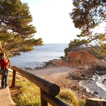 T2 Bord De Mer Au Calme Bandol Ngoại thất bức ảnh